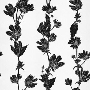 2006 Εμπριμέ Ρολοκουρτίνα - Roller με σχέδιο