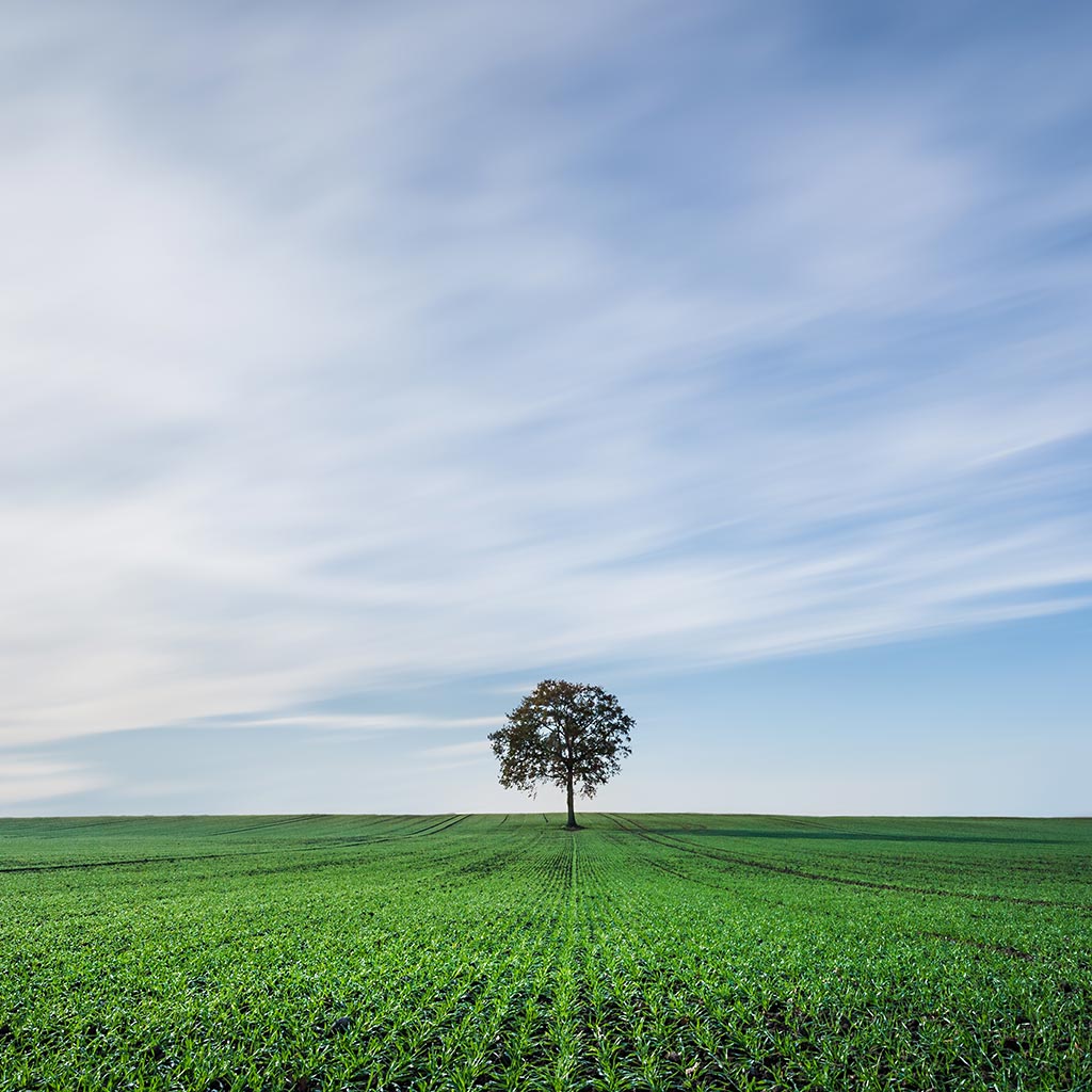 585016 Ρολοκουρτίνα  -Ρόλερ- Με Ψηφιακή Εκτύπωση Πιο Καλή Μοναξιά...