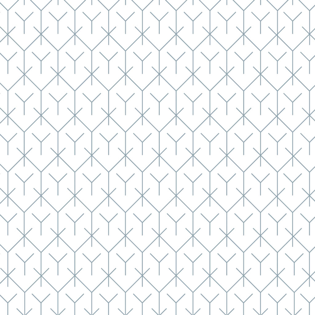 2044-3 Εμπριμέ Ρολοκουρτίνα - Roller με σχέδιο